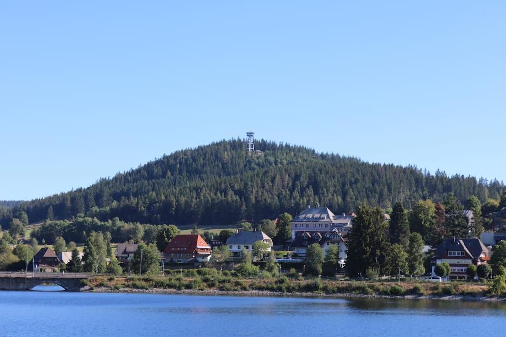 Fewo Sperlingskauz Mit Pool, Sauna & Hochschwarzwaldcard Schluchsee Ngoại thất bức ảnh