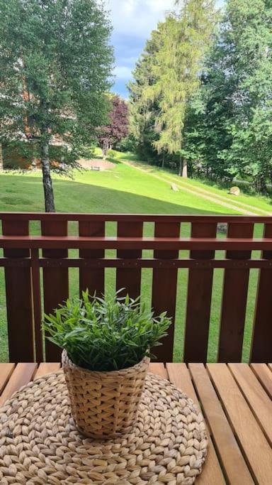 Fewo Sperlingskauz Mit Pool, Sauna & Hochschwarzwaldcard Schluchsee Ngoại thất bức ảnh